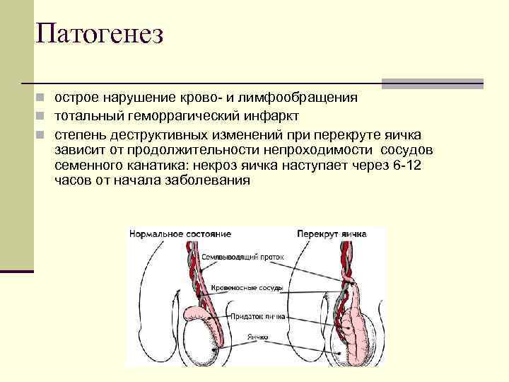 Неотложные состояния в неврологии презентация