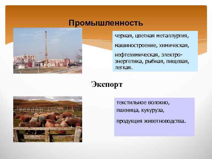 Промышленность черная, цветная металлургия, машиностроение, химическая, нефтехимическая, электроэнергетика, рыбная, пищевая, легкая. Экспорт текстильное волокно,