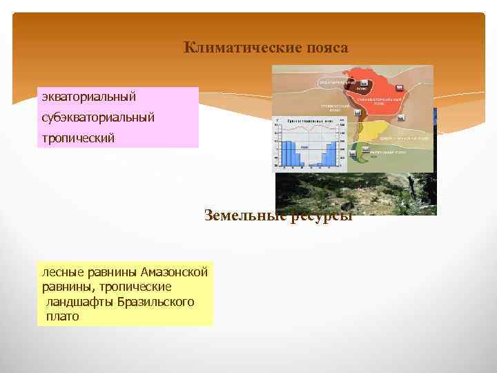 Климатические пояса экваториальный субэкваториальный Климатические пояса тропический Земельные ресурсы лесные равнины Амазонской равнины, тропические