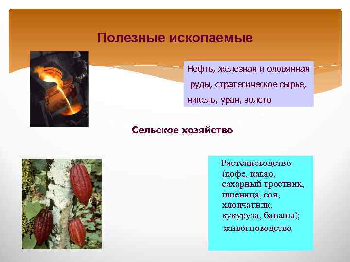 Полезные ископаемые Нефть, железная и оловянная руды, стратегическое сырье, никель, уран, золото Сельское хозяйство