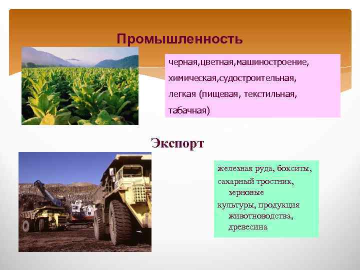 Промышленность черная, цветная, машиностроение, химическая, судостроительная, легкая (пищевая, текстильная, табачная) Экспорт железная руда, бокситы,