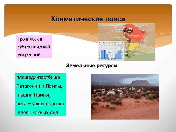 Климатические пояса тропический субтропический умеренный Земельные ресурсы площади-пастбища Патагонии и Пампы, пашни Пампы, леса