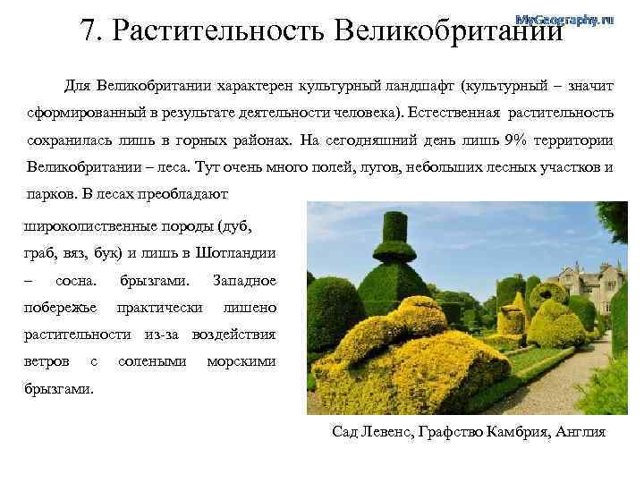 7. Растительность Великобритании Для Великобритании характерен культурный ландшафт (культурный – значит сформированный в результате