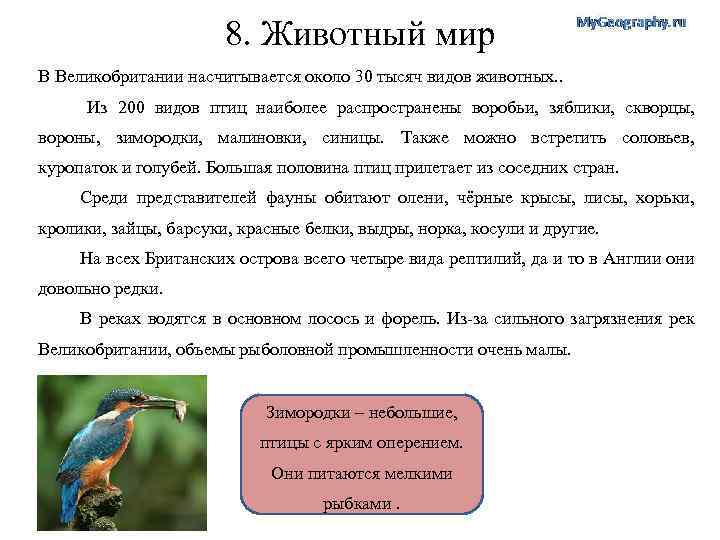 8. Животный мир В Великобритании насчитывается около 30 тысяч видов животных. . Из 200