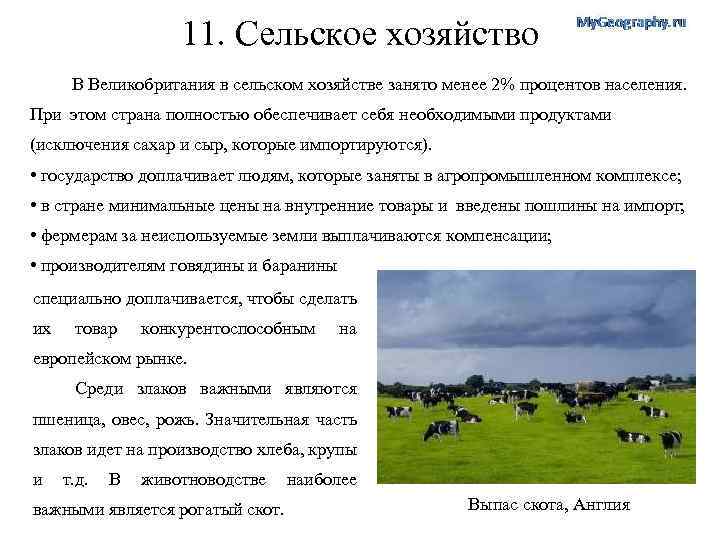 11. Сельское хозяйство В Великобритания в сельском хозяйстве занято менее 2% процентов населения. При