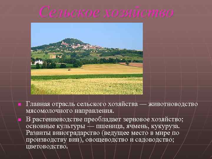 Сельское хозяйство n n Главная отрасль сельского хозяйства — животноводство мясомолочного направления. В растениеводстве