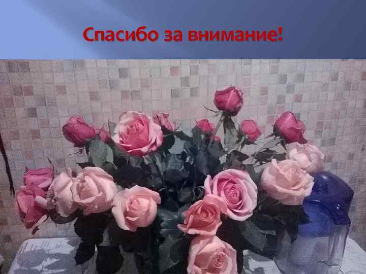 Спасибо за внимание! 