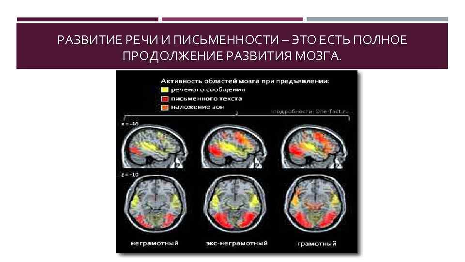РАЗВИТИЕ РЕЧИ И ПИСЬМЕННОСТИ – ЭТО ЕСТЬ ПОЛНОЕ ПРОДОЛЖЕНИЕ РАЗВИТИЯ МОЗГА. 