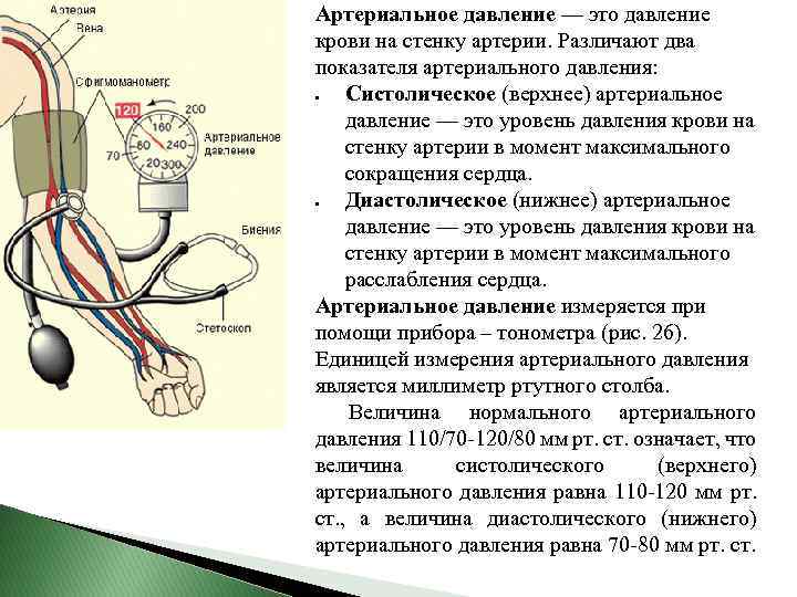 Артериальное давление — это давление крови на стенку артерии. Различают два показателя артериального давления: