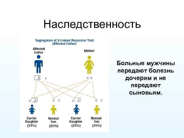 Наследственность Больные мужчины передают болезнь дочерям и не передают сыновьям. 