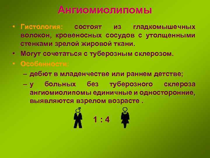 Ангиомиолипомы • Гистология: состоят из гладкомышечных волокон, кровеносных сосудов с утолщенными стенками зрелой жировой