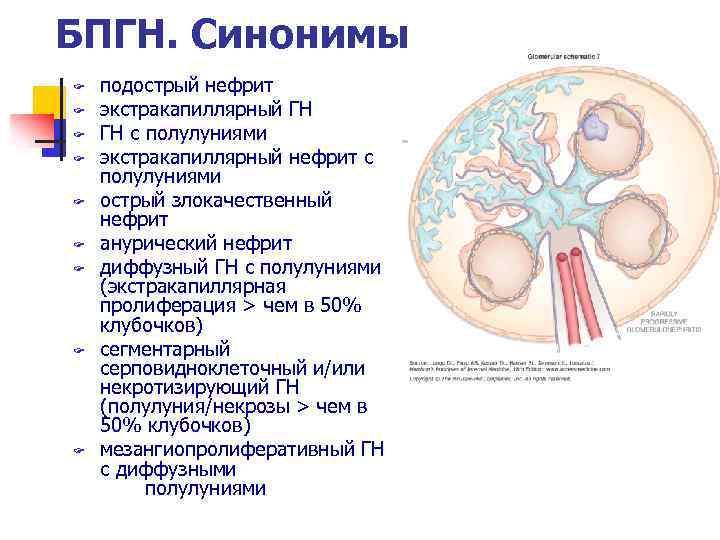 Хр гломерулонефрит