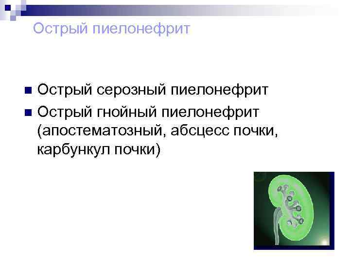 Острый пиелонефрит Острый серозный пиелонефрит n Острый гнойный пиелонефрит (апостематозный, абсцесс почки, карбункул почки)