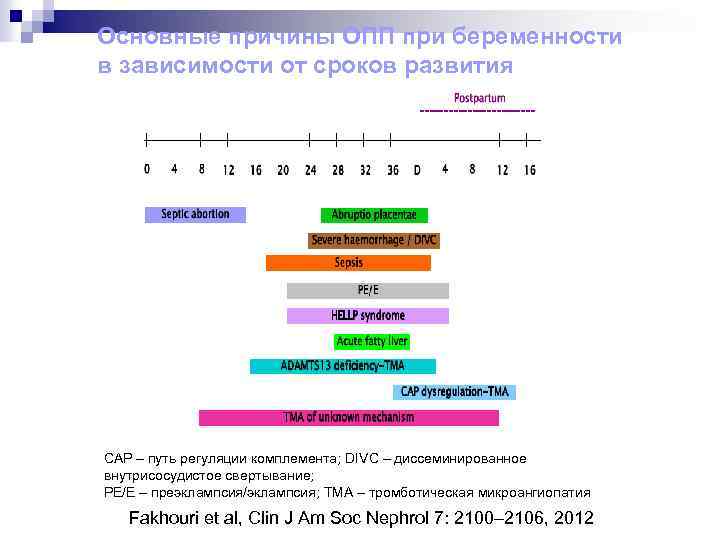 Основные причины ОПП при беременности в зависимости от сроков развития CAP – путь регуляции