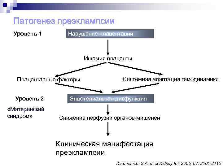 Патогенез преэклампсии Уровень 1 Нарушение плацентации Ишемия плаценты Плацентарные факторы Уровень 2 «Материнский синдром»