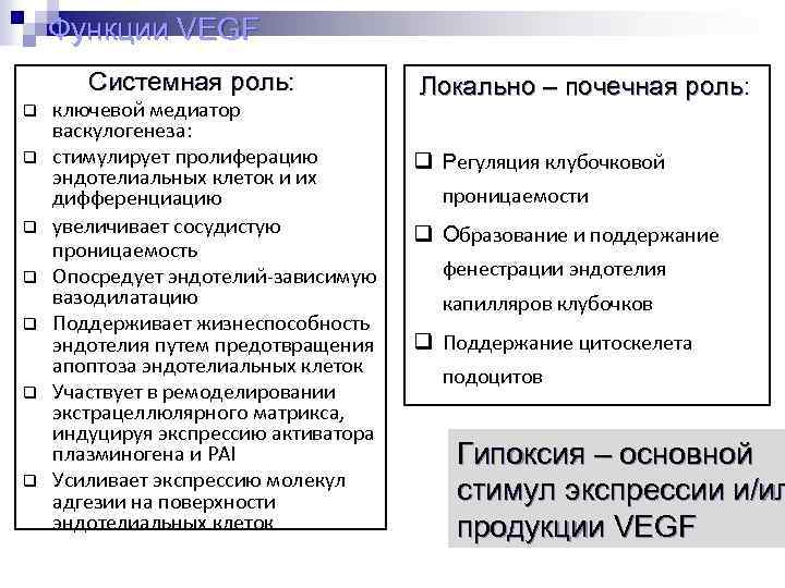 Функции VEGF Системная роль: q q q q ключевой медиатор васкулогенеза: стимулирует пролиферацию эндотелиальных