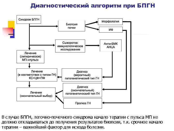 Диагностический алгоритм при БПГН В случае БПГН, легочно-почечного синдрома начало терапии с пульса МП