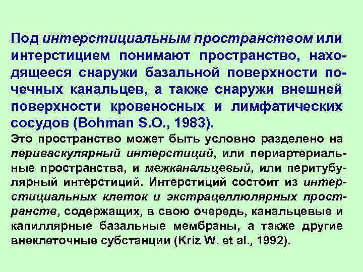 Под интерстициальным пространством или интерстицием понимают пространство, находящееся снаружи базальной поверхности почечных канальцев, а