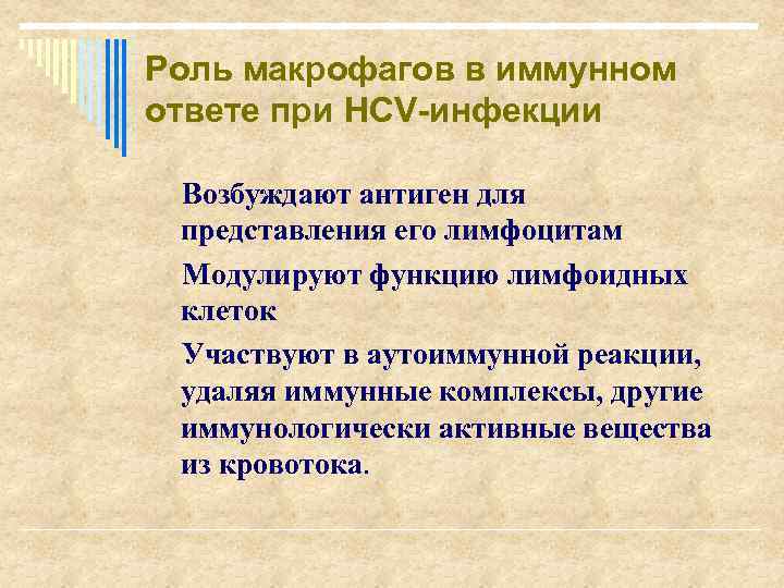 Роль макрофагов в иммунном ответе при НСV-инфекции Возбуждают антиген для представления его лимфоцитам Модулируют