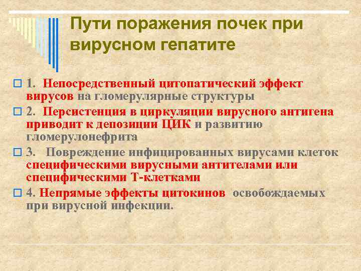 Пути поражения почек при вирусном гепатите o 1. Непосредственный цитопатический эффект вирусов на гломерулярные