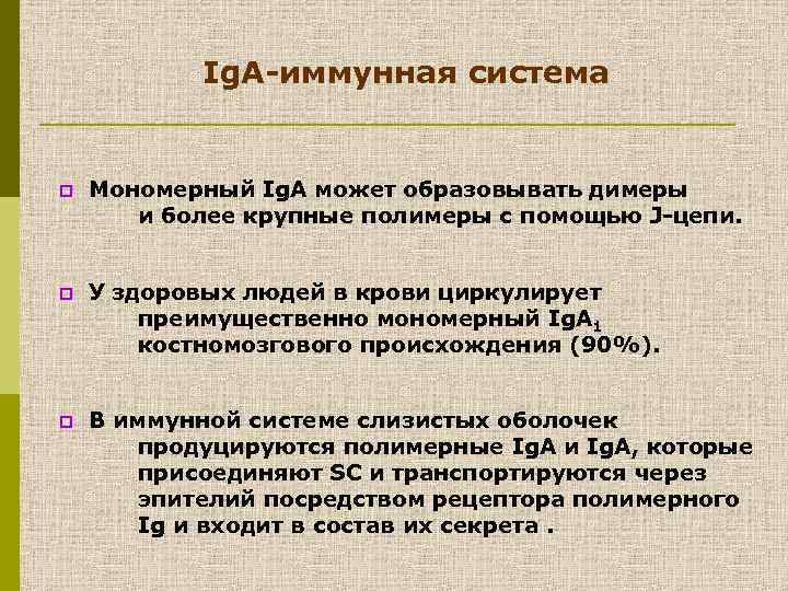 Ig. А-иммунная система p Мономерный Ig. A может образовывать димеры и более крупные полимеры