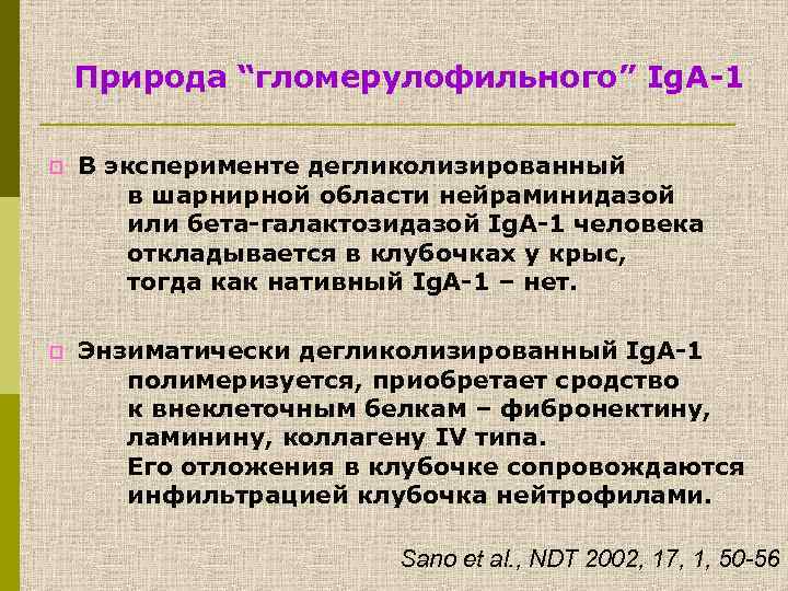 Природа “гломерулофильного” Ig. А-1 p В эксперименте дегликолизированный в шарнирной области нейраминидазой или бета-галактозидазой