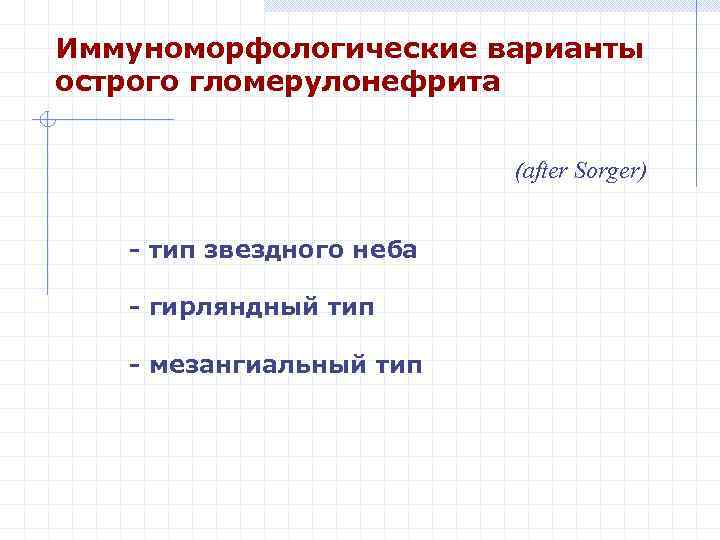Иммуноморфологические варианты острого гломерулонефрита (after Sorger) - тип звездного неба - гирляндный тип -
