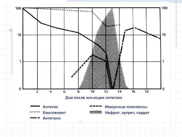Дни после инъекции антигена Антиген Комплемент Антитело Иммунные комплексы Нефрит. артрит, кардит 
