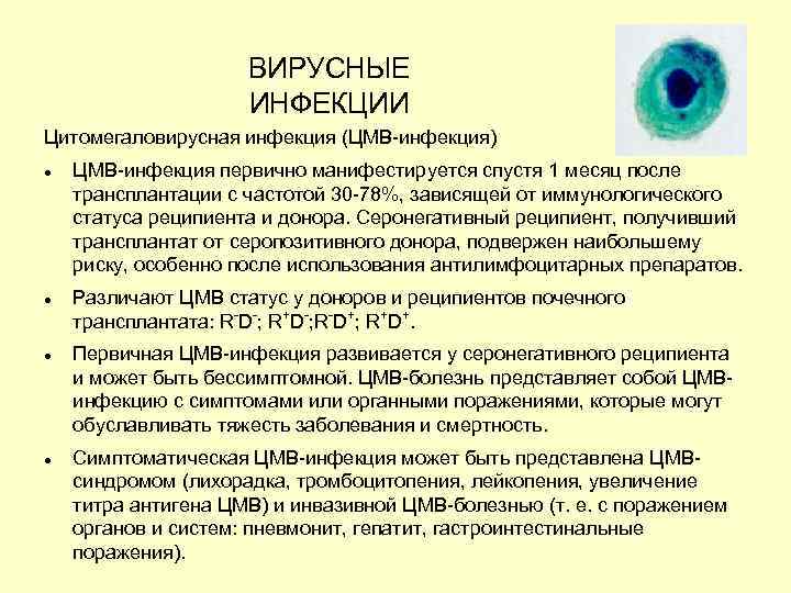 Цмв у взрослого. Диагностика цитомегаловирусной инфекции. Цитомегаловирусная инфекция строение.