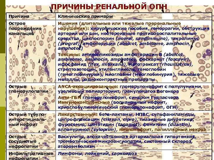 ПРИЧИНЫ РЕНАЛЬНОЙ ОПН Причина Клинические примеры Острое повреждение канальцев Ишемия (длительные или тяжелые преренальные