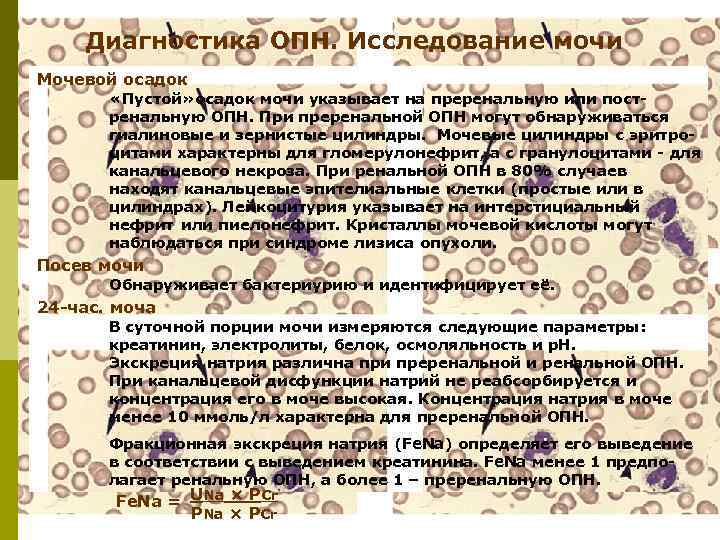 Диагностика ОПН. Исследование мочи Мочевой осадок «Пустой» осадок мочи указывает на преренальную или постренальную