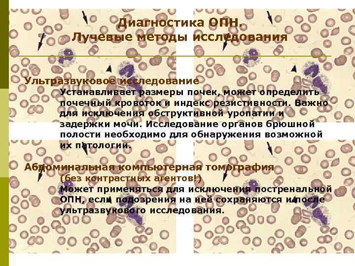 Диагностика ОПН. Лучевые методы исследования Ультразвуковое исследование Устанавливает размеры почек, может определить почечный кровоток