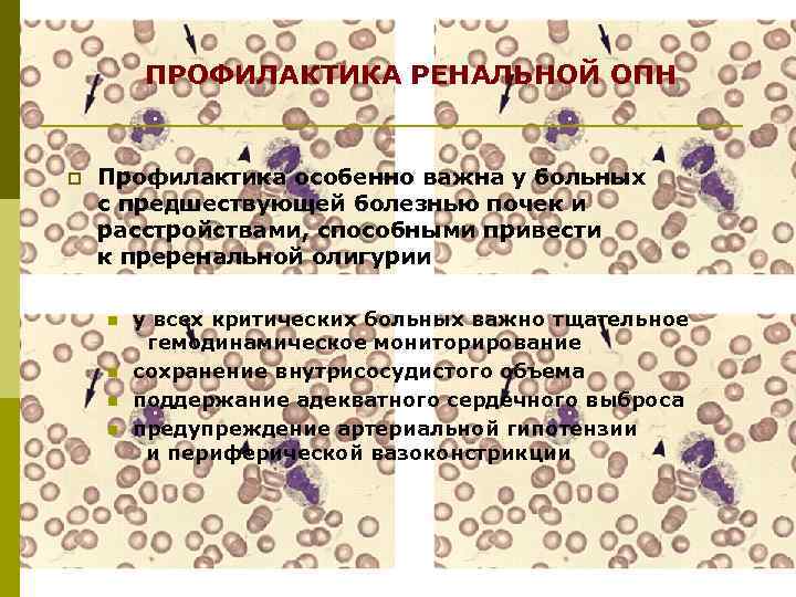 ПРОФИЛАКТИКА РЕНАЛЬНОЙ ОПН p Профилактика особенно важна у больных с предшествующей болезнью почек и