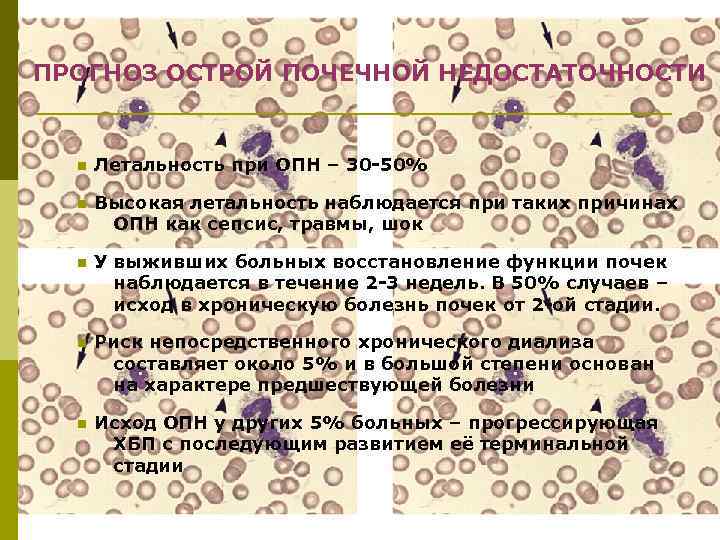 ПРОГНОЗ ОСТРОЙ ПОЧЕЧНОЙ НЕДОСТАТОЧНОСТИ n Летальность при ОПН – 30 -50% n Высокая летальность