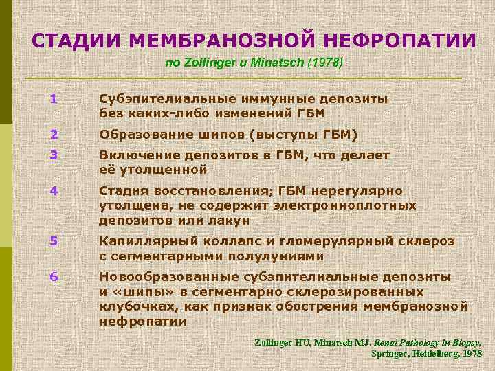 СТАДИИ МЕМБРАНОЗНОЙ НЕФРОПАТИИ по Zollinger и Minatsch (1978) 1 Субэпителиальные иммунные депозиты без каких-либо