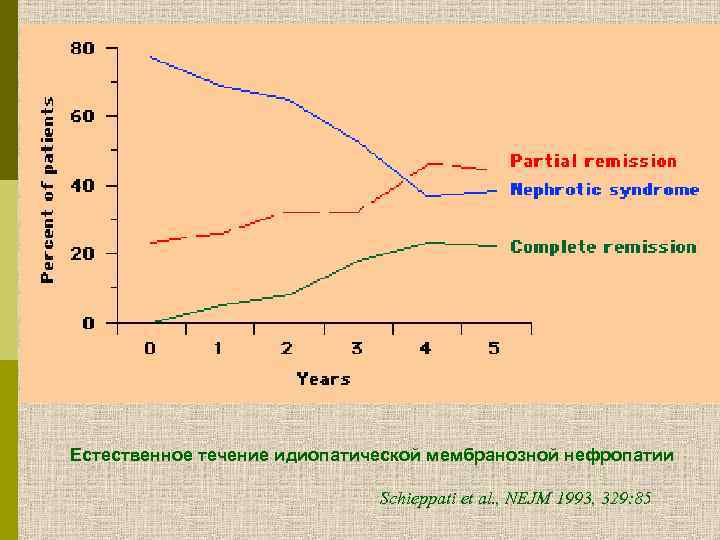 Естественное течение идиопатической мембранозной нефропатии Schieppati et al. , NEJM 1993, 329: 85 