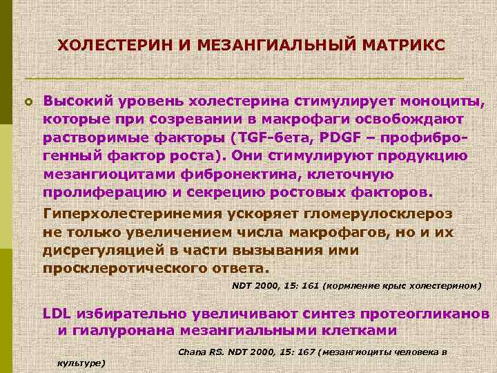 ХОЛЕСТЕРИН И МЕЗАНГИАЛЬНЫЙ МАТРИКС £ Высокий уровень холестерина стимулирует моноциты, которые при созревании в