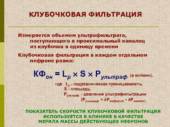 КЛУБОЧКОВАЯ ФИЛЬТРАЦИЯ Измеряется объемом ультрафильтрата, поступающего в проксимальный каналец из клубочка в единицу времени