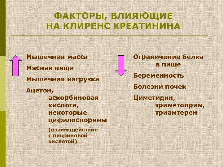 ФАКТОРЫ, ВЛИЯЮЩИЕ НА КЛИРЕНС КРЕАТИНИНА Мышечная масса Мясная пища Мышечная нагрузка Ацетон, аскорбиновая кислота,