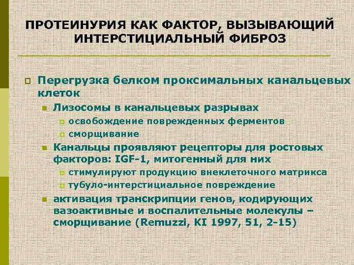 ПРОТЕИНУРИЯ КАК ФАКТОР, ВЫЗЫВАЮЩИЙ ИНТЕРСТИЦИАЛЬНЫЙ ФИБРОЗ p Перегрузка белком проксимальных канальцевых клеток n Лизосомы