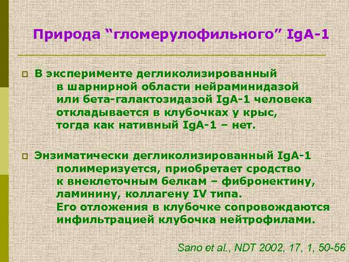 Природа “гломерулофильного” Ig. А-1 p В эксперименте дегликолизированный в шарнирной области нейраминидазой или бета-галактозидазой