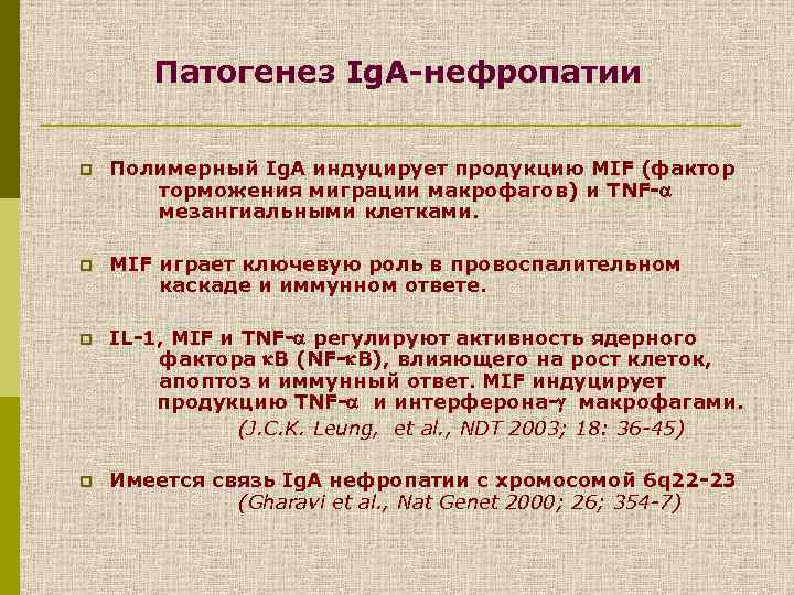 Патогенез Ig. A-нефропатии p Полимерный Ig. A индуцирует продукцию MIF (фактор торможения миграции макрофагов)