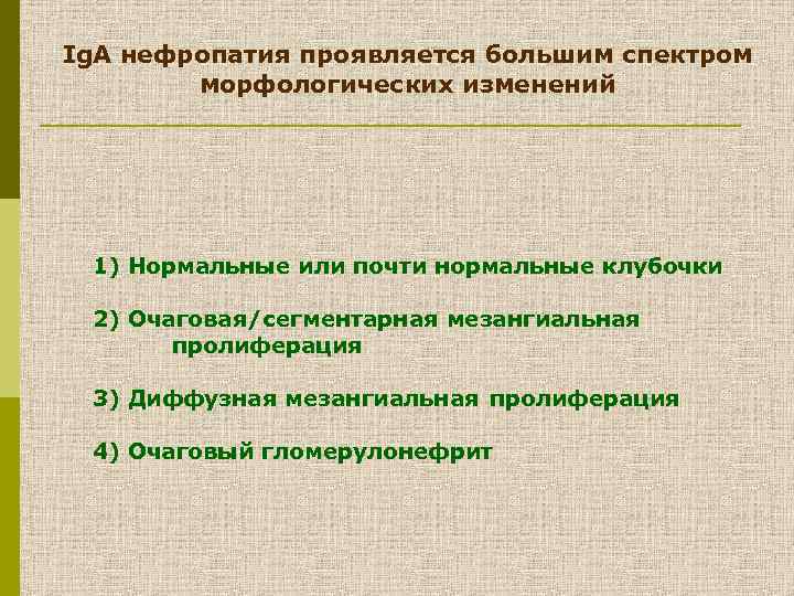 Ig. A нефропатия проявляется большим спектром морфологических изменений 1) Нормальные или почти нормальные клубочки