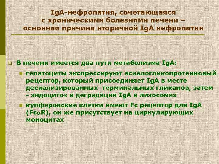 Ig. A-нефропатия, сочетающаяся с хроническими болезнями печени – основная причина вторичной Ig. A нефропатии