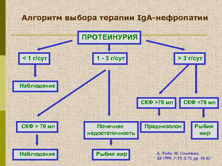 Алгоритм выбора терапии Ig. A-нефропатии ПРОТЕИНУРИЯ < 1 г/сут 1 - 3 г/сут >