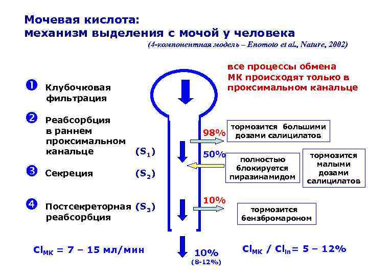 Мочевая кислота расшифровка