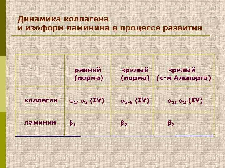 Динамика коллагена и изоформ ламинина в процессе развития ранний (норма) зрелый (с-м Альпорта) коллаген