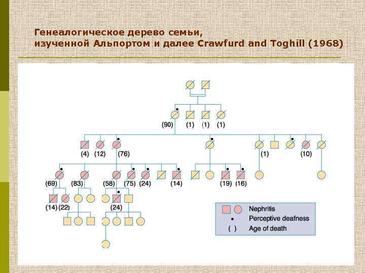 Генеалогическое дерево семьи, изученной Альпортом и далее Crawfurd and Toghill (1968) 