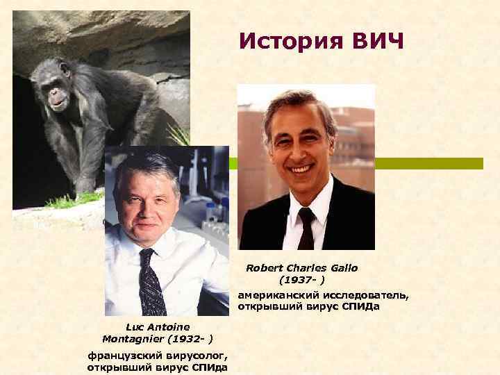 История ВИЧ Robert Charles Gallo (1937 - ) американский исследователь, открывший вирус СПИДа Luc
