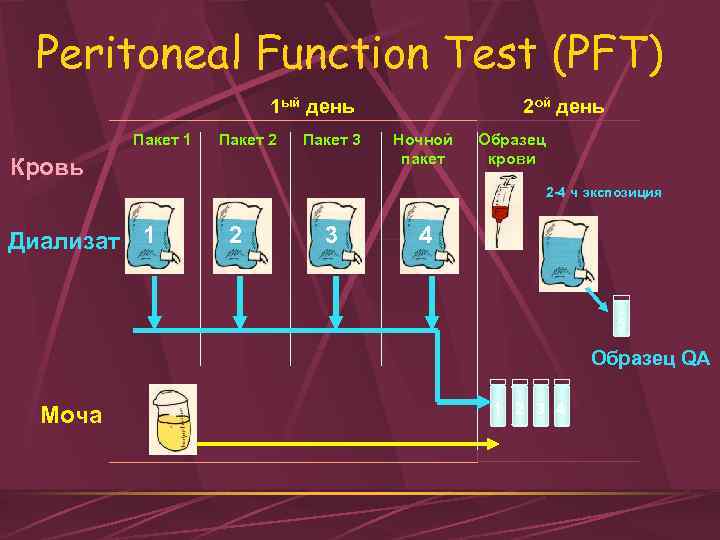 Peritoneal Function Test (PFT) 1 ый день Пакет 1 Пакет 2 Пакет 3 Кровь